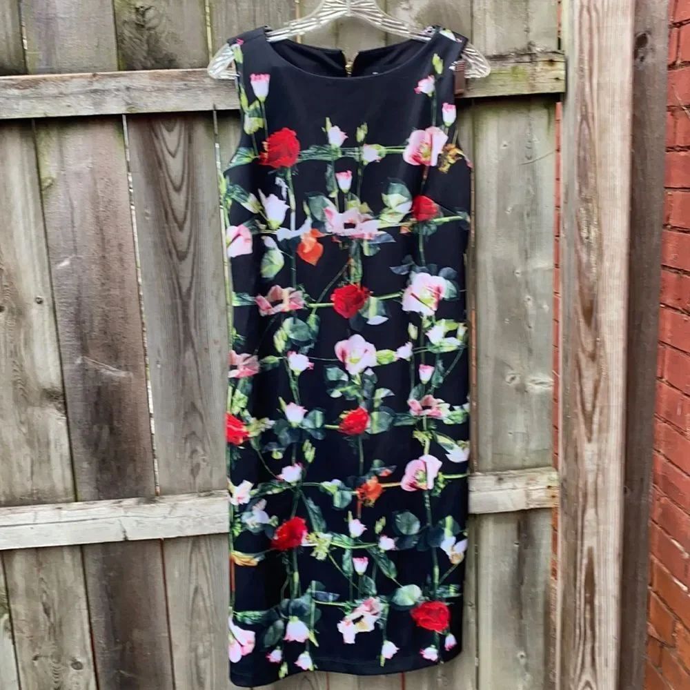 Ronni Nicole Floral shift dress sz. 6